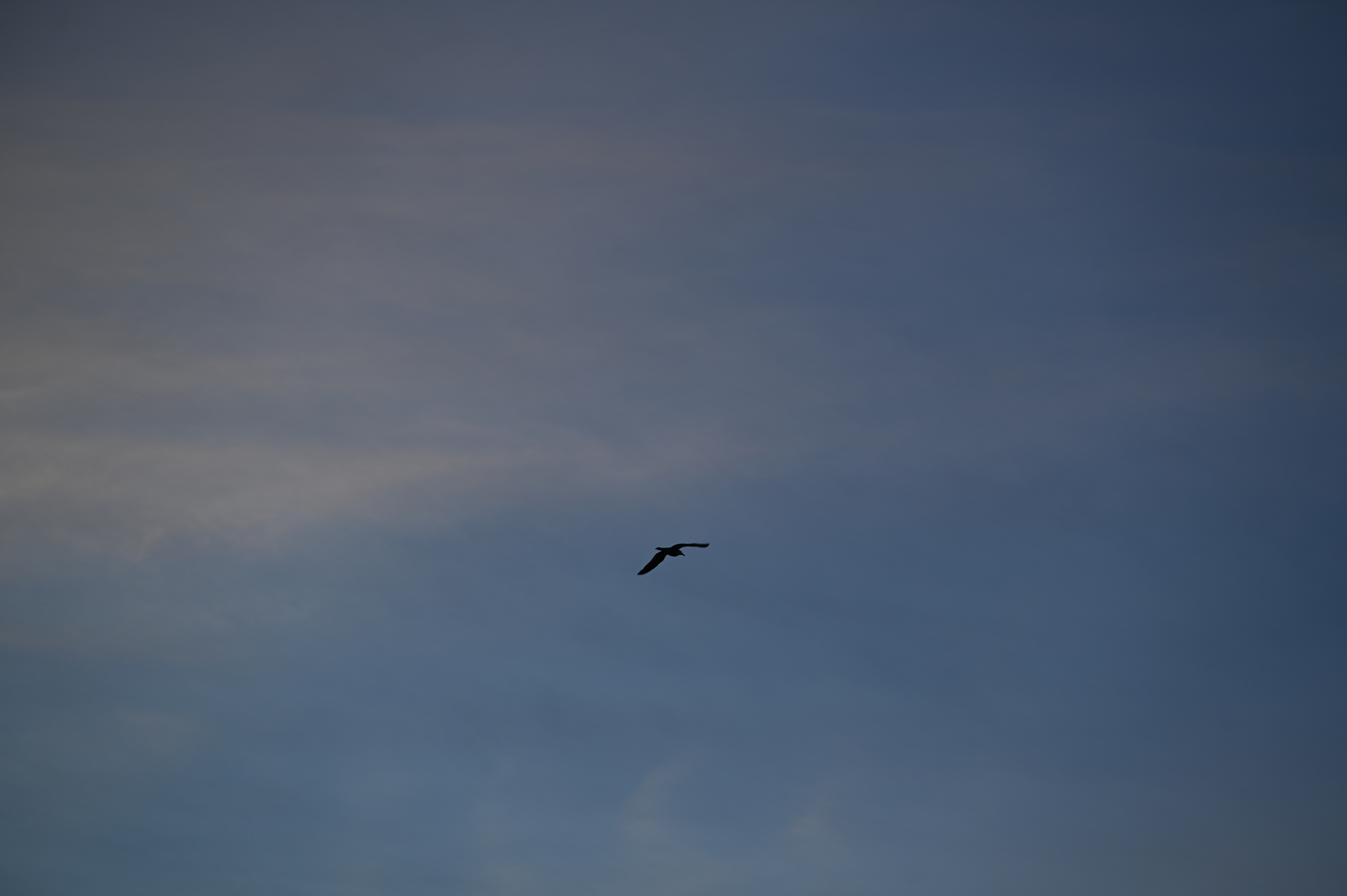 2025/07/09-14 - trip/DSC_0611.JPG